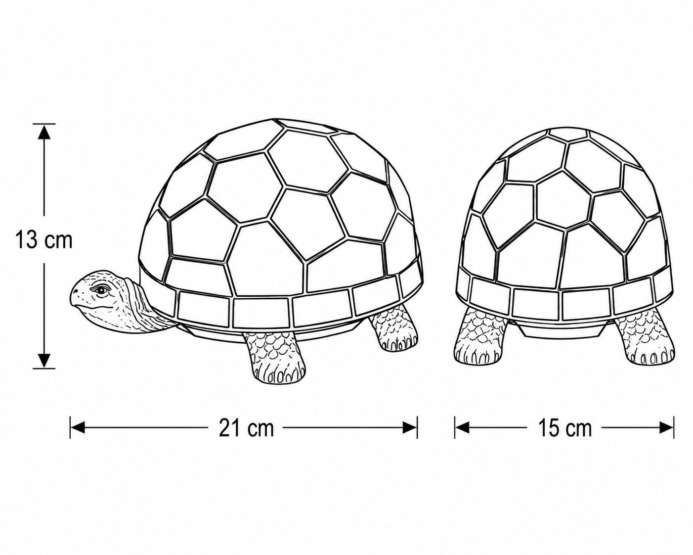 Tiffany Schildkröte Rot – Bild 12